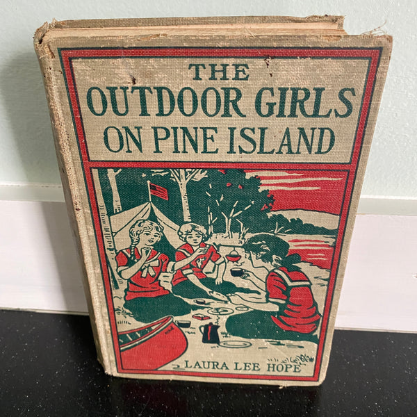 Outdoor Girls on Pine Island 1916 book